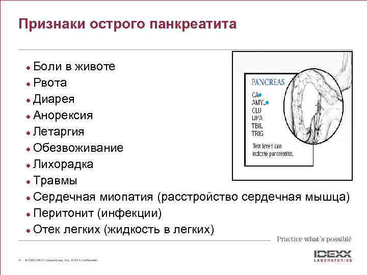 Признаки острого панкреатита Боли в животе l Рвота l Диарея l Анорексия l Летаргия