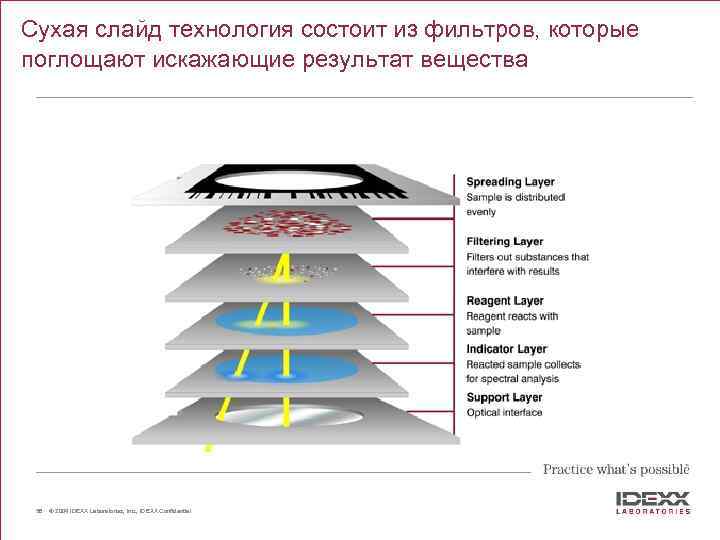 Why IDEXX Vet. Test? Сухая слайд технология состоит из фильтров, которые поглощают искажающие результат