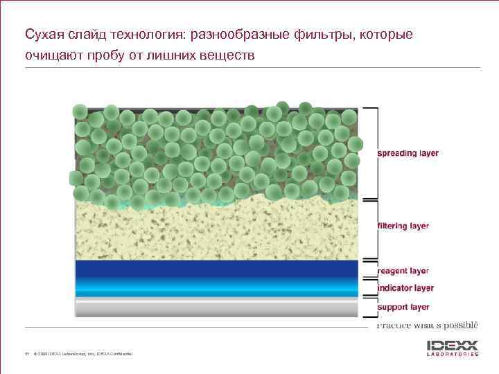 Why IDEXX Vet. Test? Сухая слайд технология: разнообразные фильтры, которые очищают пробу от лишних