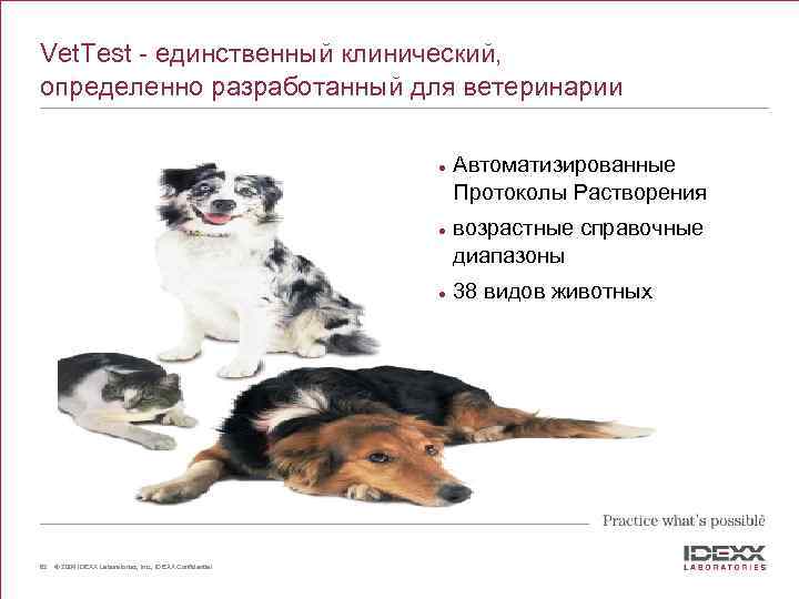 Vet. Test - единственный клинический, определенно разработанный для ветеринарии l l l 62 ©