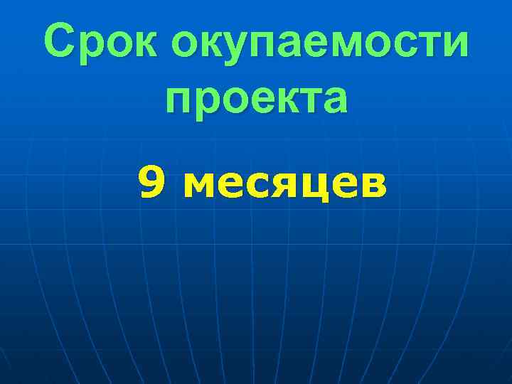 Срок окупаемости проекта 9 месяцев 