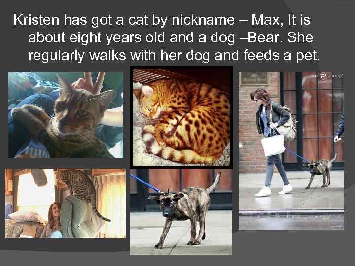 Kristen has got a cat by nickname – Max, It is about eight years