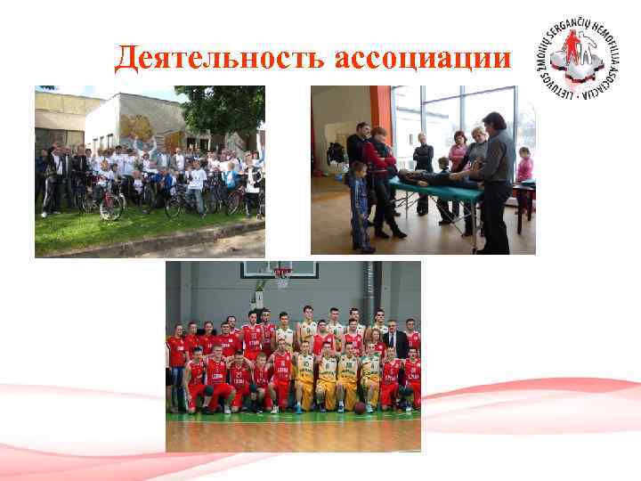 Деятельность ассоциации 