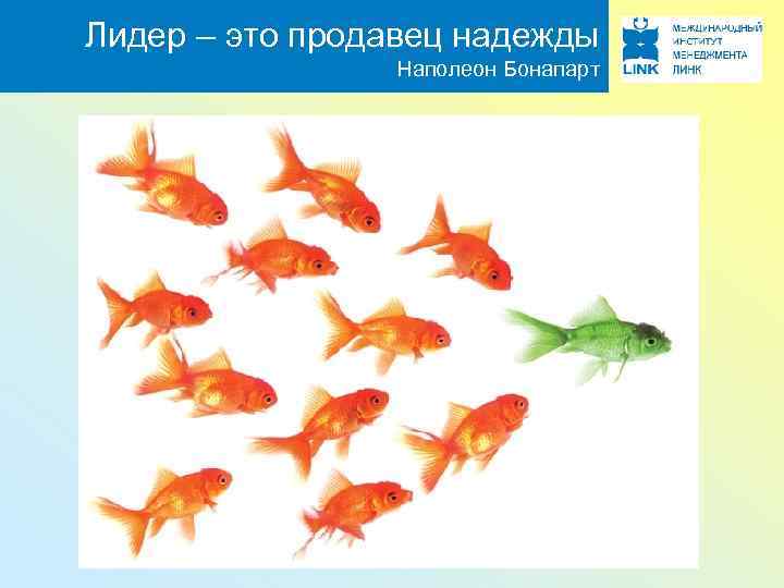 Лидер – это продавец надежды Наполеон Бонапарт 