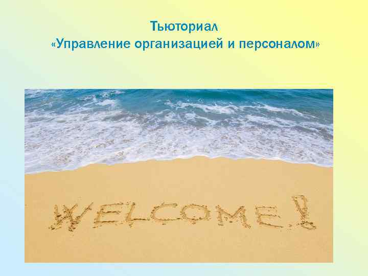 Тьюториал «Управление организацией и персоналом» 