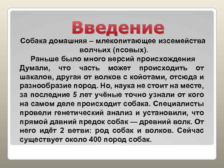 Введение Собака домашняя – млекопитающее изсемейства волчьих (псовых). Раньше было много версий происхождения Думали,