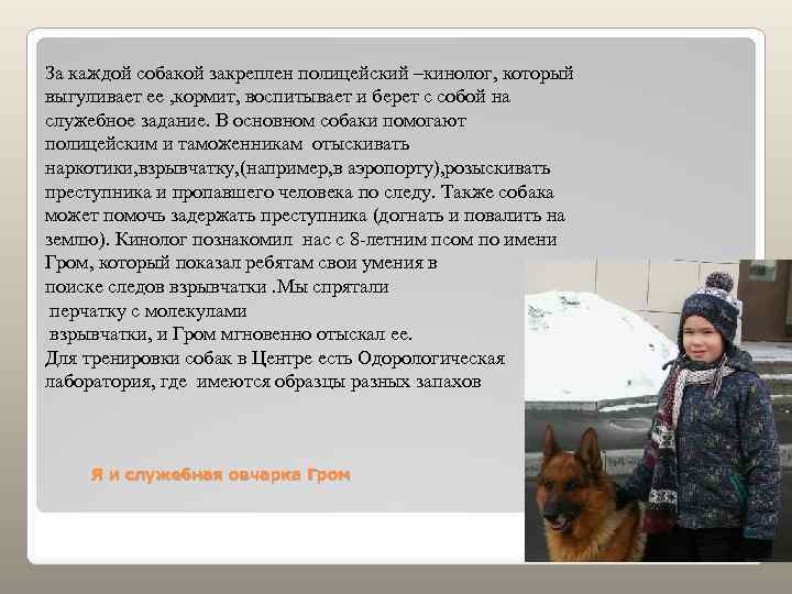 За каждой собакой закреплен полицейский –кинолог, который выгуливает ее , кормит, воспитывает и берет