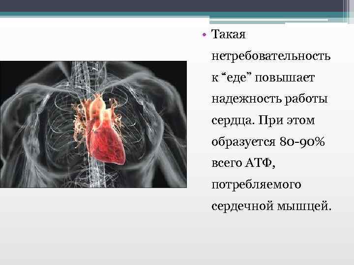  • Такая нетребовательность к “еде” повышает надежность работы сердца. При этом образуется 80