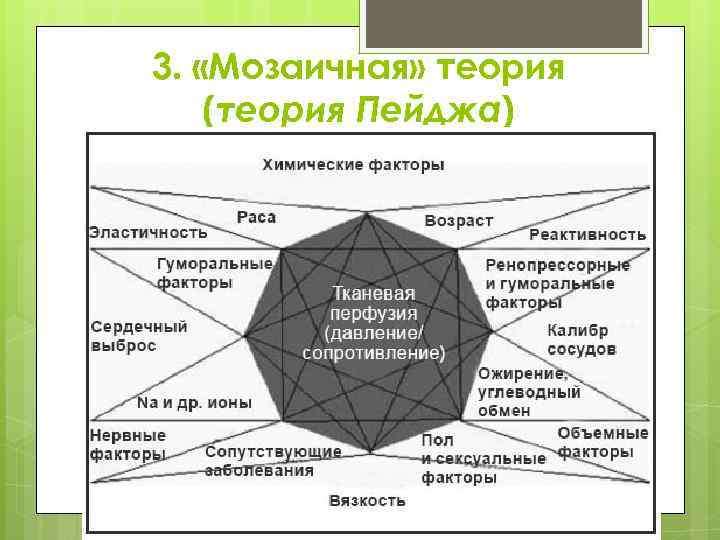 3. «Мозаичная» теория (теория Пейджа) 