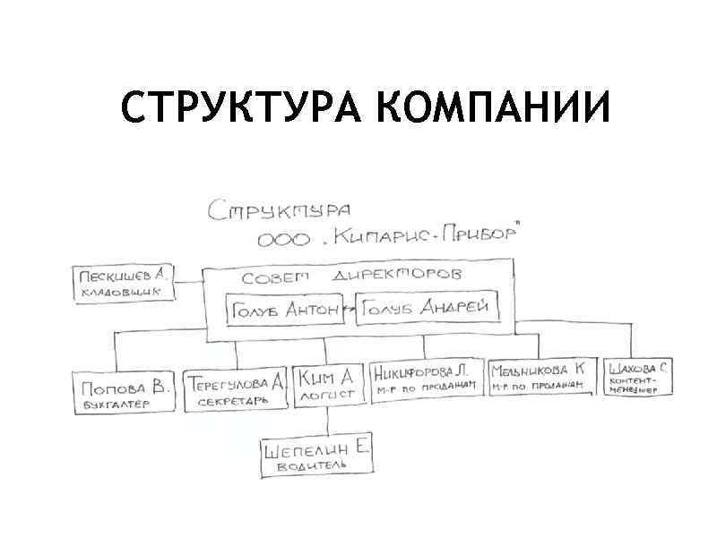 СТРУКТУРА КОМПАНИИ 