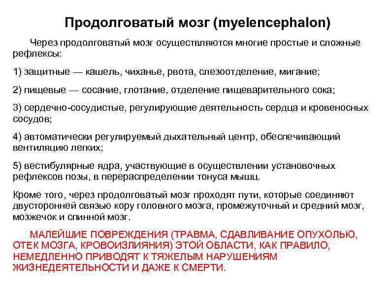 Продолговатый мозг (myelencephalon) Через продолговатый мозг осуществляются многие простые и сложные рефлексы: 1) защитные