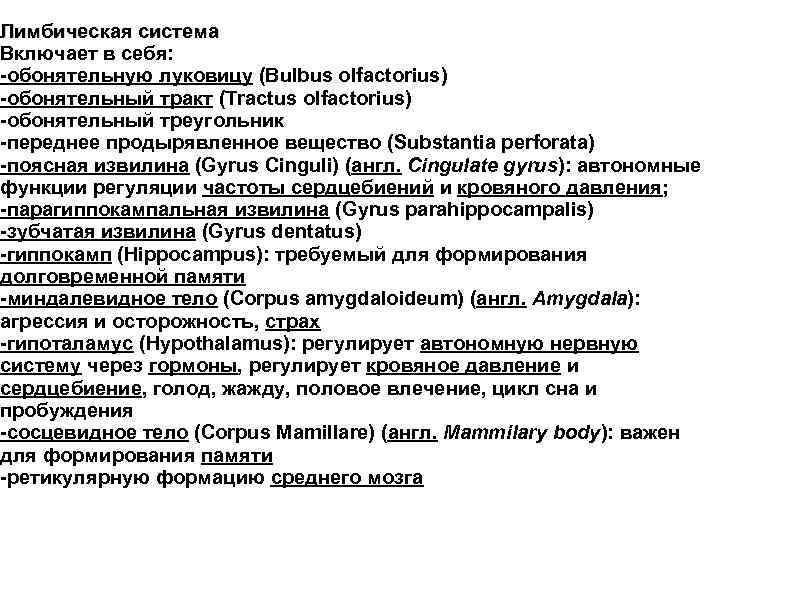 Лимбическая система Включает в себя: -обонятельную луковицу (Bulbus olfactorius) -обонятельный тракт (Tractus olfactorius) -обонятельный
