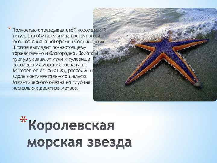 * Полностью оправдывая свой королевский титул, эта обитательница восточного и юго-восточного побережья Соединенных Штатов