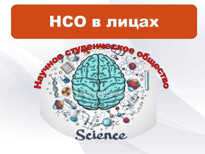 НСО в лицах 