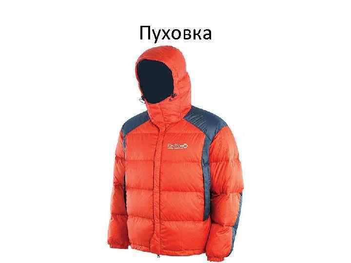 Пуховка 