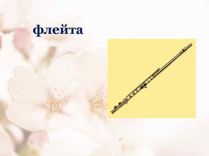 флейта 