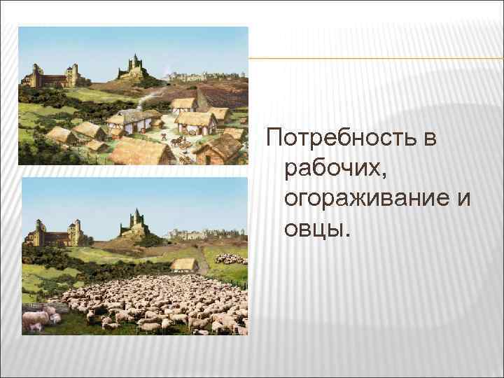 Потребность в рабочих, огораживание и овцы. 