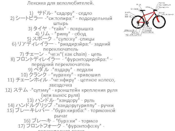 Лексика для велолюбителей. 1)　サドル- 