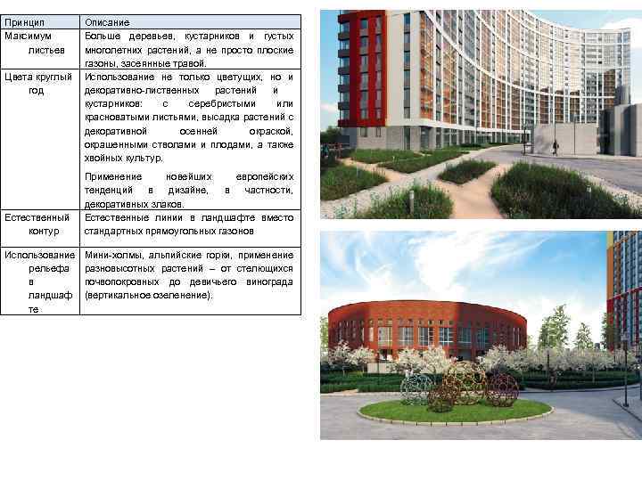 Принцип Максимум листьев Цвета круглый год Естественный контур Использование рельефа в ландшаф те Описание