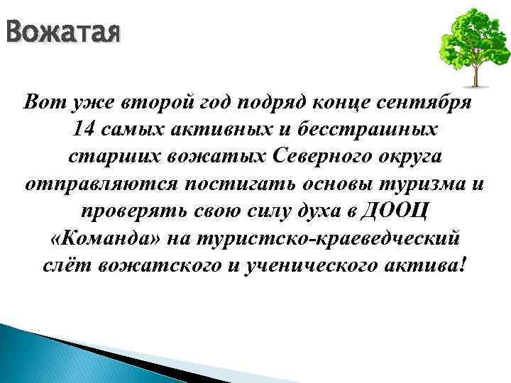 Вожатая Вот уже второй год подряд конце сентября 14 самых активных и бесстрашных старших