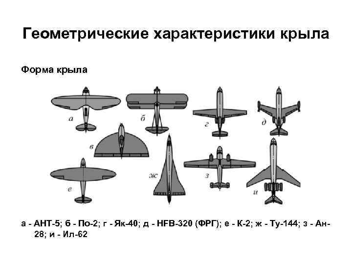 Форма крыла