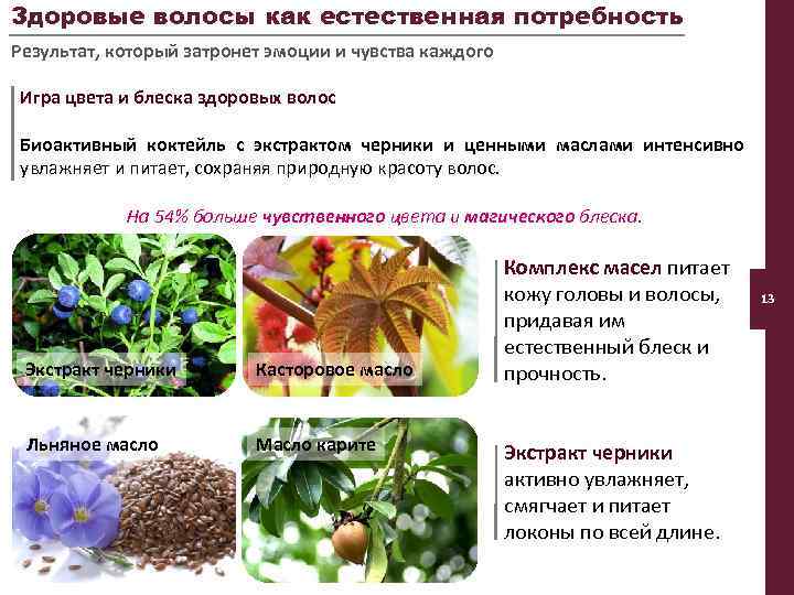 Здоровые волосы как естественная потребность Результат, который затронет эмоции и чувства каждого Игра цвета