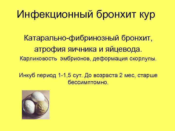 Инфекционный бронхит кур Катарально-фибринозный бронхит, атрофия яичника и яйцевода. Карликовость эмбрионов, деформация скорлупы. Инкуб