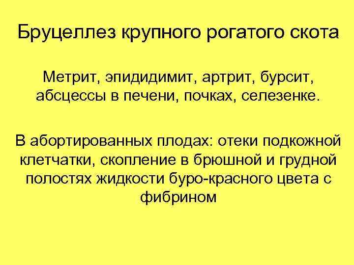 Бруцеллез крупного рогатого скота Метрит, эпидидимит, артрит, бурсит, абсцессы в печени, почках, селезенке. В
