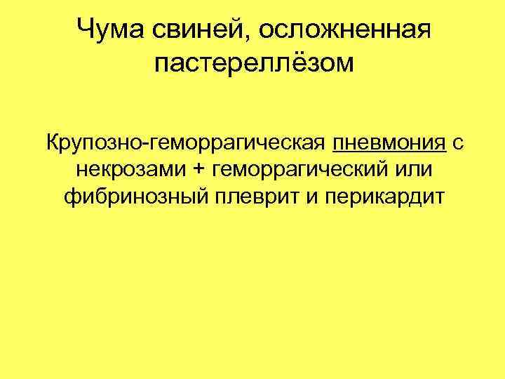 Чума свиней, осложненная пастереллёзом Крупозно-геморрагическая пневмония с некрозами + геморрагический или фибринозный плеврит и