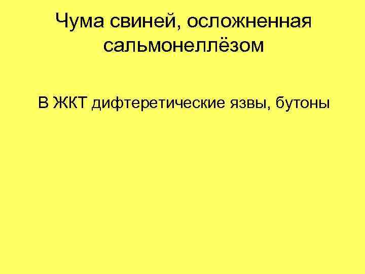 Чума свиней, осложненная сальмонеллёзом В ЖКТ дифтеретические язвы, бутоны 