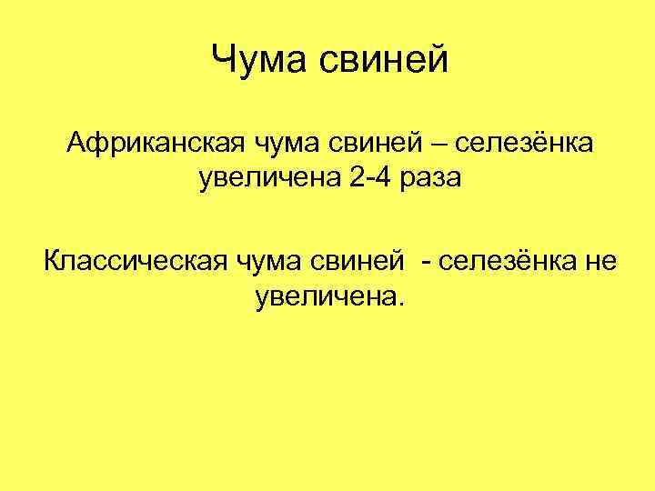 Чума свиней Африканская чума свиней – селезёнка увеличена 2 -4 раза Классическая чума свиней