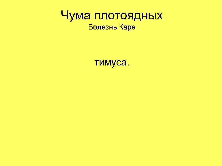 Чума плотоядных Болезнь Каре тимуса. 