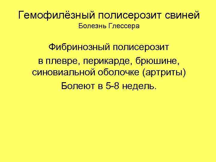 Гемофилёзный полисерозит свиней Болезнь Глессера Фибринозный полисерозит в плевре, перикарде, брюшине, синовиальной оболочке (артриты)