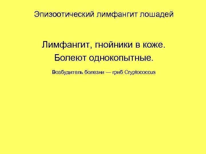 Эпизоотический лимфангит лошадей Лимфангит, гнойники в коже. Болеют однокопытные. Возбудитель болезни — гриб Cryptococcus