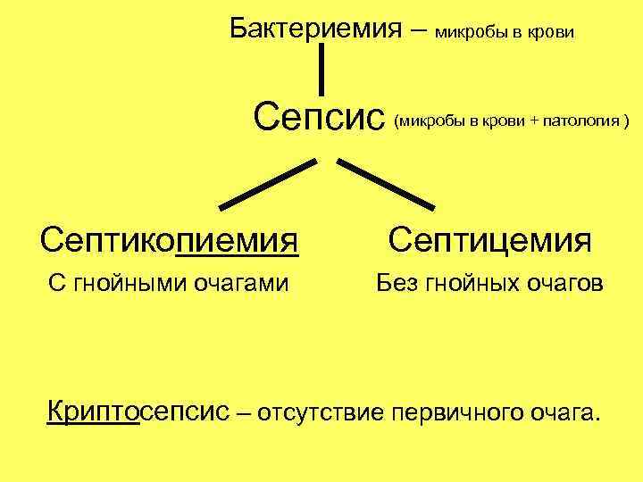 Бактериемия – микробы в крови Сепсис (микробы в крови + патология ) Септикопиемия Септицемия