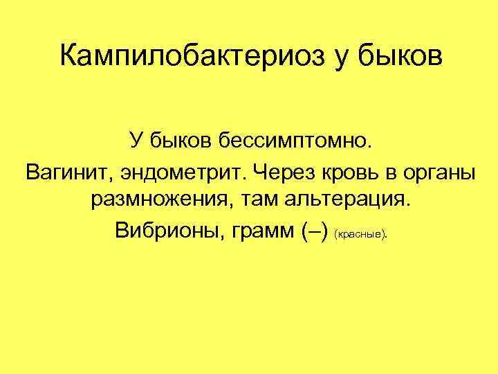 Кампилобактериоз у быков У быков бессимптомно. Вагинит, эндометрит. Через кровь в органы размножения, там