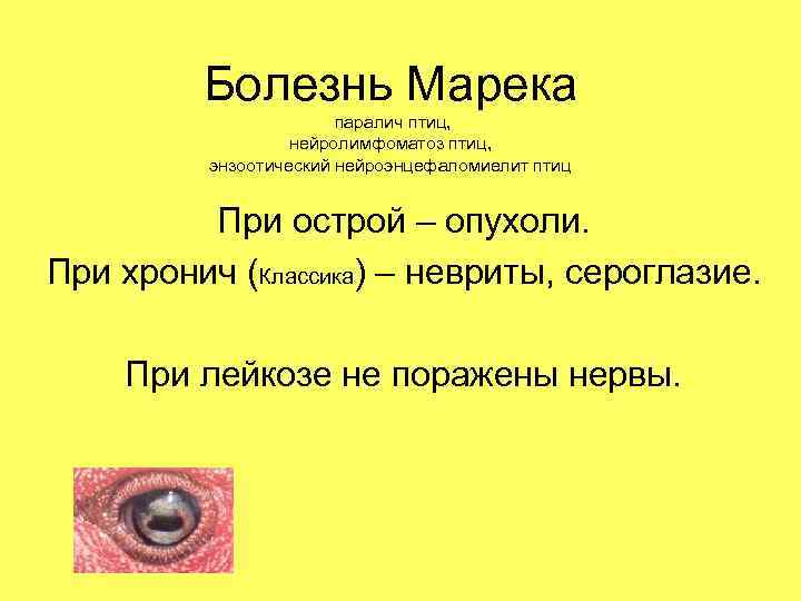 Болезнь Марека паралич птиц, нейролимфоматоз птиц, энзоотический нейроэнцефаломиелит птиц При острой – опухоли. При