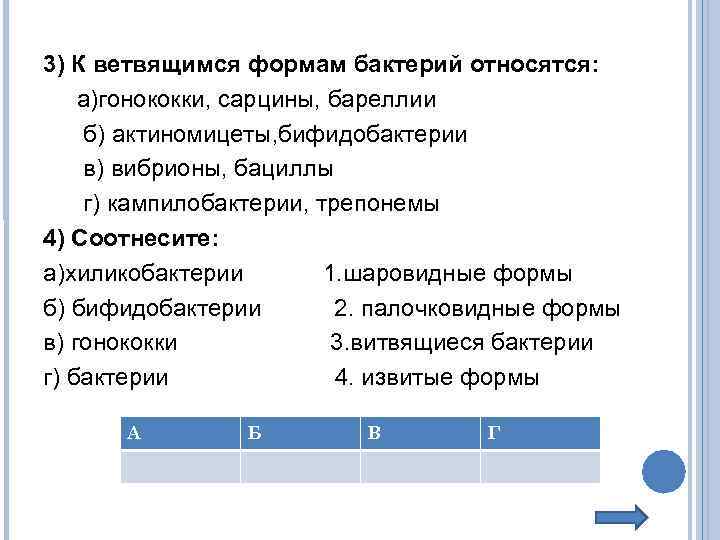 3) К ветвящимся формам бактерий относятся: а)гонококки, сарцины, бареллии б) актиномицеты, бифидобактерии в) вибрионы,