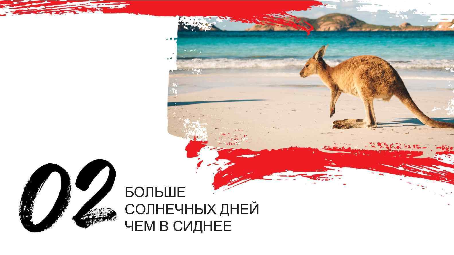 БОЛЬШЕ СОЛНЕЧНЫХ ДНЕЙ ЧЕМ В СИДНЕЕ 