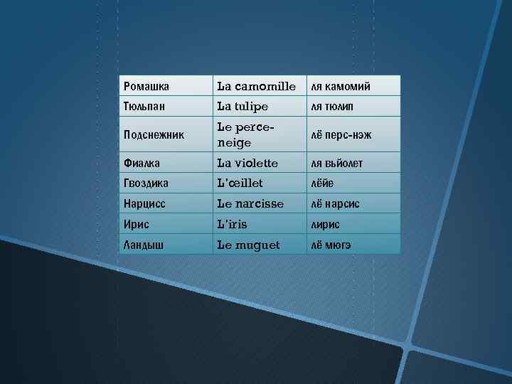 Ромашка La camomille ля камомий Тюльпан La tulipe ля тюлип Подснежник Le perceneige лё