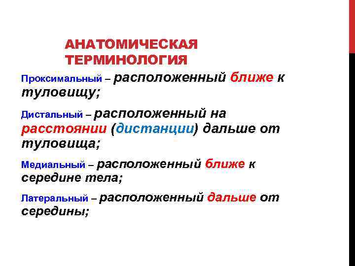 АНАТОМИЧЕСКАЯ ТЕРМИНОЛОГИЯ Проксимальный – расположенный ближе к туловищу; Дистальный – расположенный на расстоянии (дистанции)