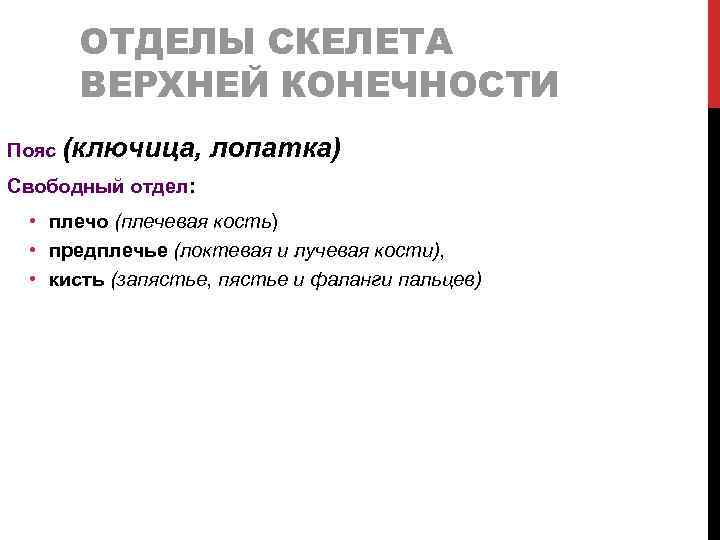 ОТДЕЛЫ СКЕЛЕТА ВЕРХНЕЙ КОНЕЧНОСТИ Пояс (ключица, лопатка) Свободный отдел: • плечо (плечевая кость) •