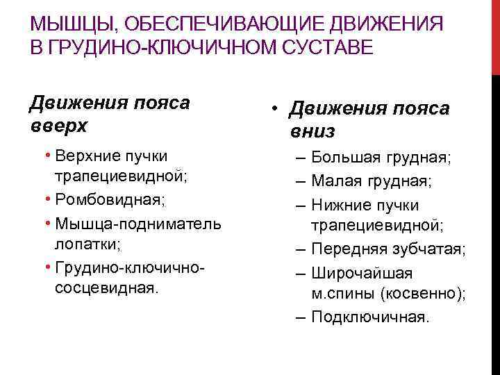 МЫШЦЫ, ОБЕСПЕЧИВАЮЩИЕ ДВИЖЕНИЯ В ГРУДИНО-КЛЮЧИЧНОМ СУСТАВЕ Движения пояса вверх • Верхние пучки трапециевидной; •