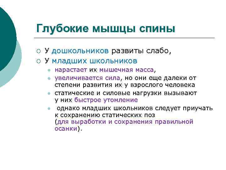 Глубокие мышцы спины ¡ ¡ У дошкольников развиты слабо, У младших школьников l l