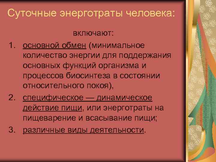 Суточные энерготраты человека: включают: 1. основной обмен (минимальное количество энергии для поддержания основных функций