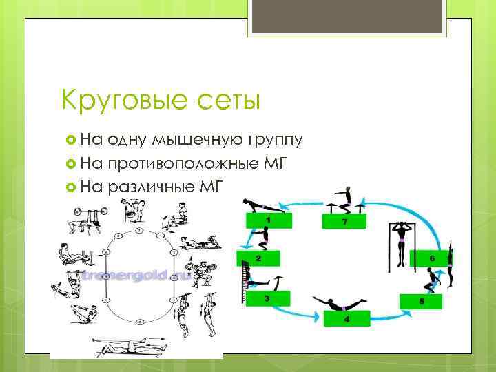 Круговые сеты На одну мышечную группу На противоположные МГ На различные МГ 