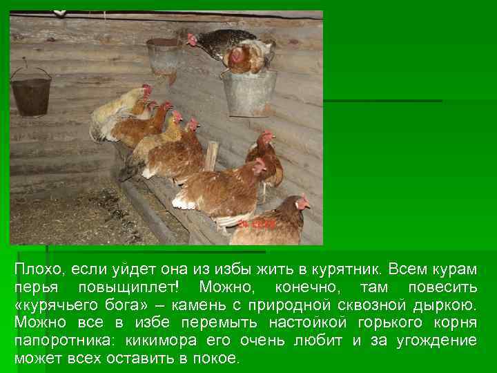 Плохо, если уйдет она из избы жить в курятник. Всем курам перья повыщиплет! Можно,