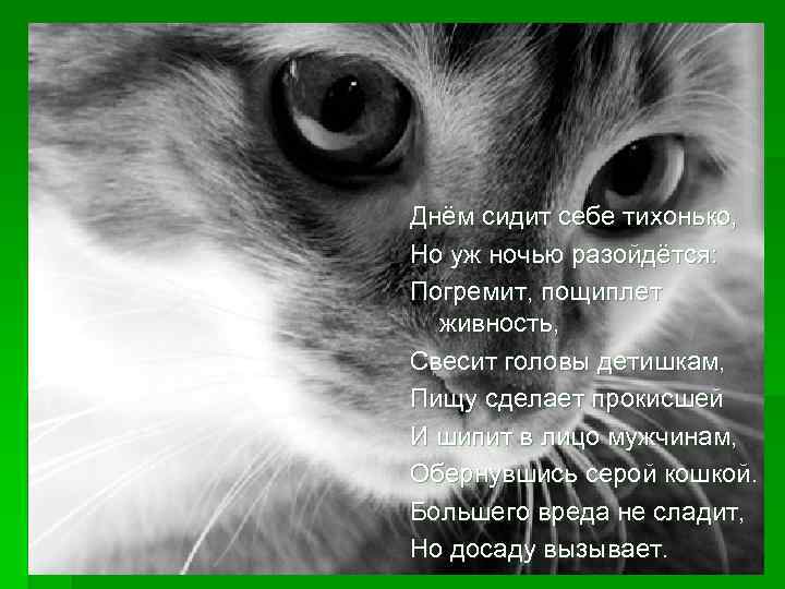 Днём сидит себе тихонько, Но уж ночью разойдётся: Погремит, пощиплет живность, Свесит головы детишкам,