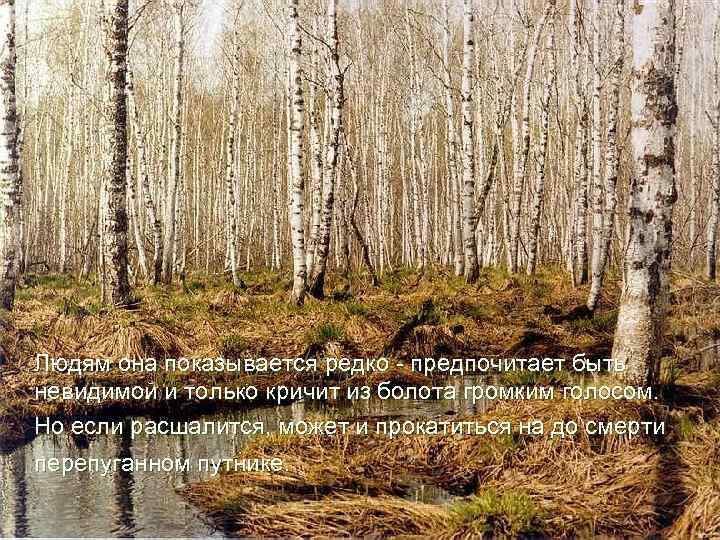 Людям она показывается редко - предпочитает быть невидимой и только кричит из болота громким