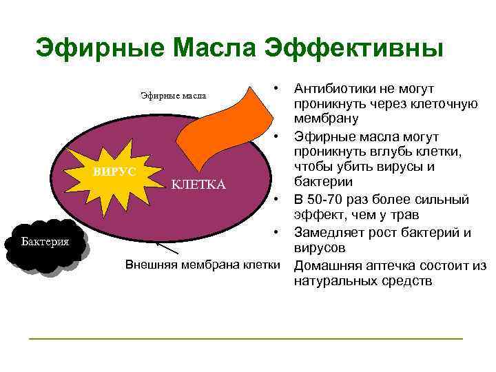 Эфирные Масла Эффективны Эфирные масла • • ВИРУС Бактерия КЛЕТКА • • Внешняя мембрана